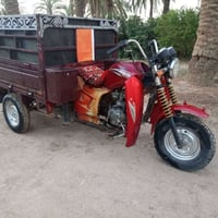 ستوته • دايوان • ٢٠١٥