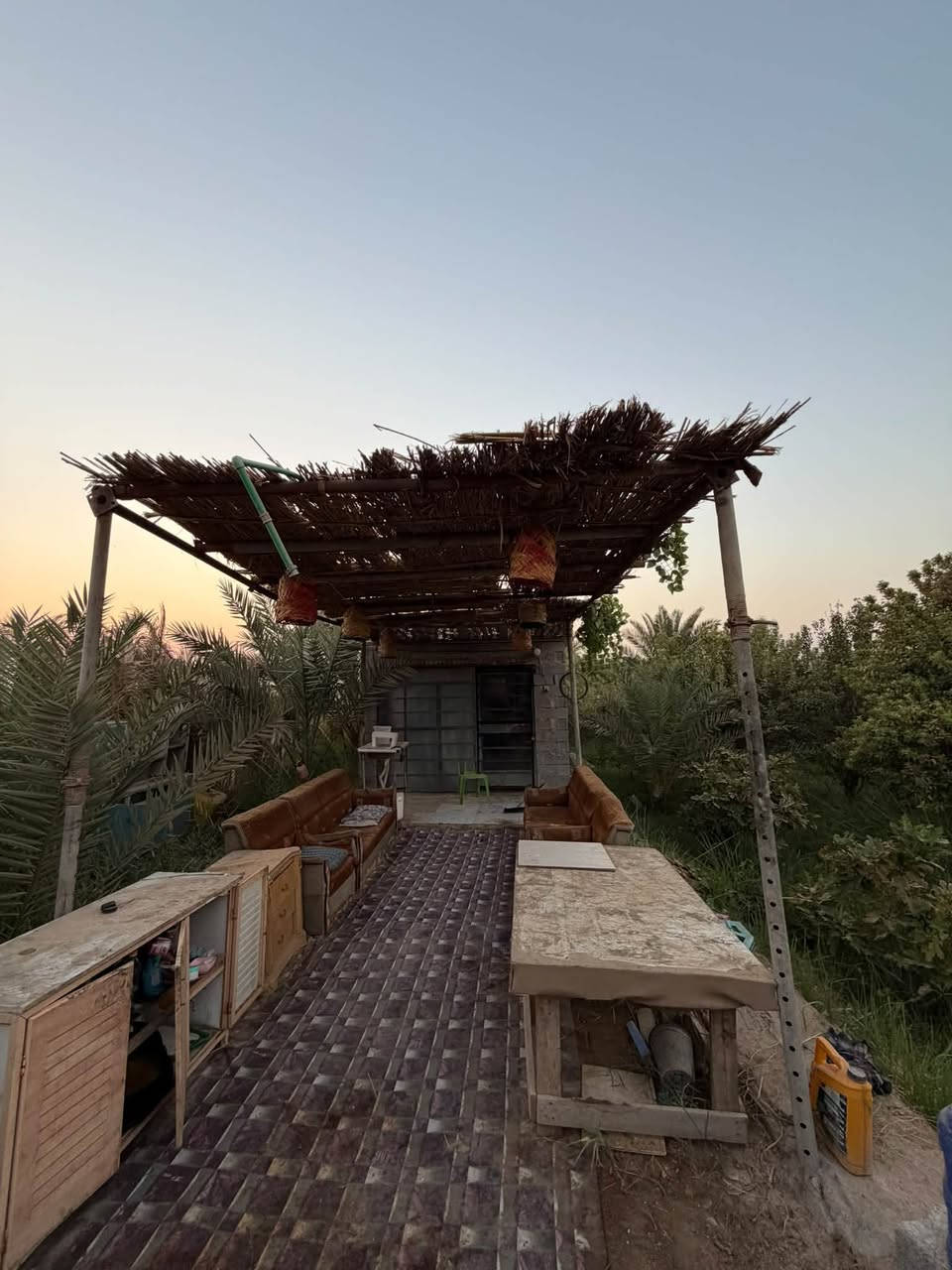 ارض زراعيه • ٣١٥٠م • الديونيه طريق السنيه