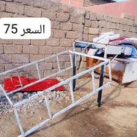 محجلات • للبيع • قطع متعددة