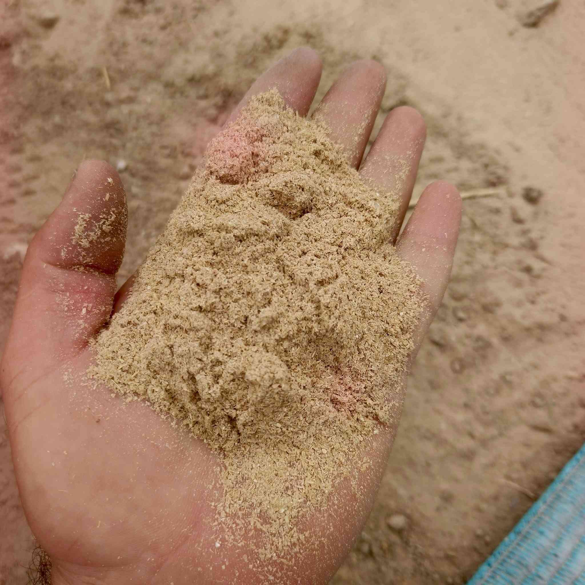 أسحالة • نضيفة • كربلاء طريق نجف