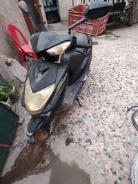 سكنس • صيني • مناسب