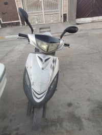 ماكس • ١٤٠ • ثعلب
