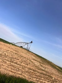 مرشات • ٢×٨٠دونم • ٦٠دونم
