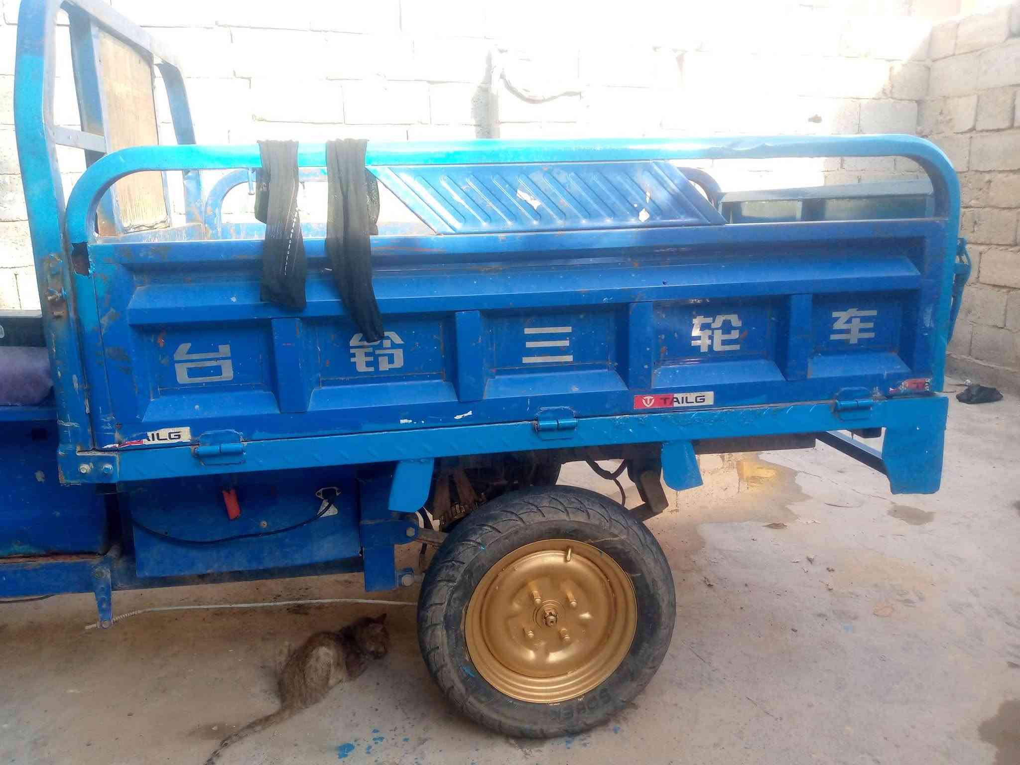 ستوته شحن خمسه باتري علفحص كل عطل مابيه نقص فقط بكلايت واشاير فقط السعر ٦٠٠   وبيه مجال الحجم الكبير عنوان بغداد ابي غريب اليحب يتصل ويدلل ***********
