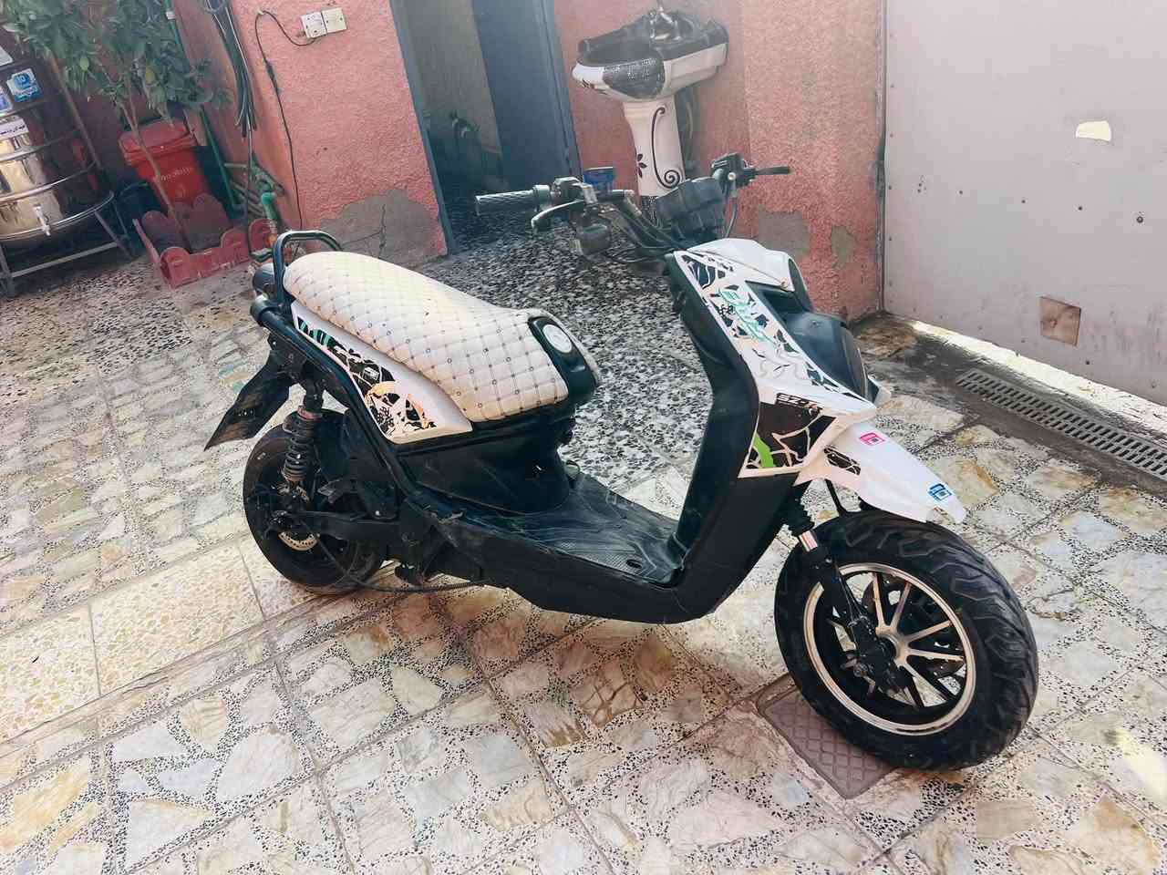 سكنس فحل • جبلي • بطاريات جديده