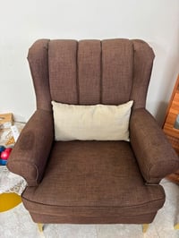تخم للبيع مكانه بغداد 07814261436 سعره ٣٠٠ الف