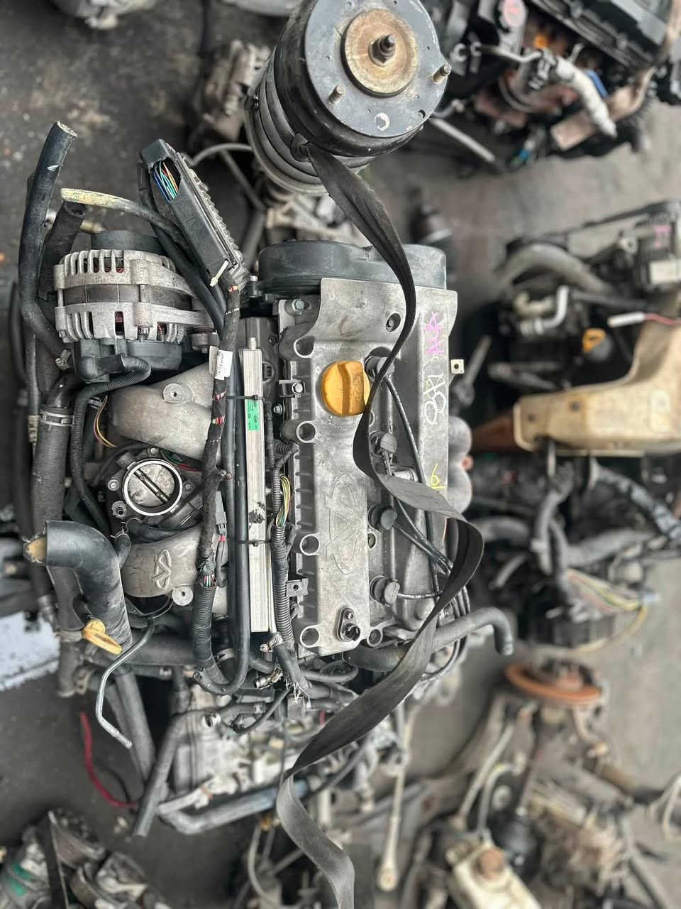 🚘🔥 تحتاج قطعة لسيارتك؟ لا تحتار!

🔧 علاء الأسدي لبيع قطع غيار السيارات

📍 النجف الأشرف – شارع المطار
📞 ***********

⭐ جودة • أسعار مناسبة • تعامل مضمون

علاء الأسدي… اختيارك الصحيح لقطع سيارتك 🚗🔧
