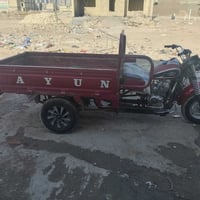 ستوتة • دايون • 2019