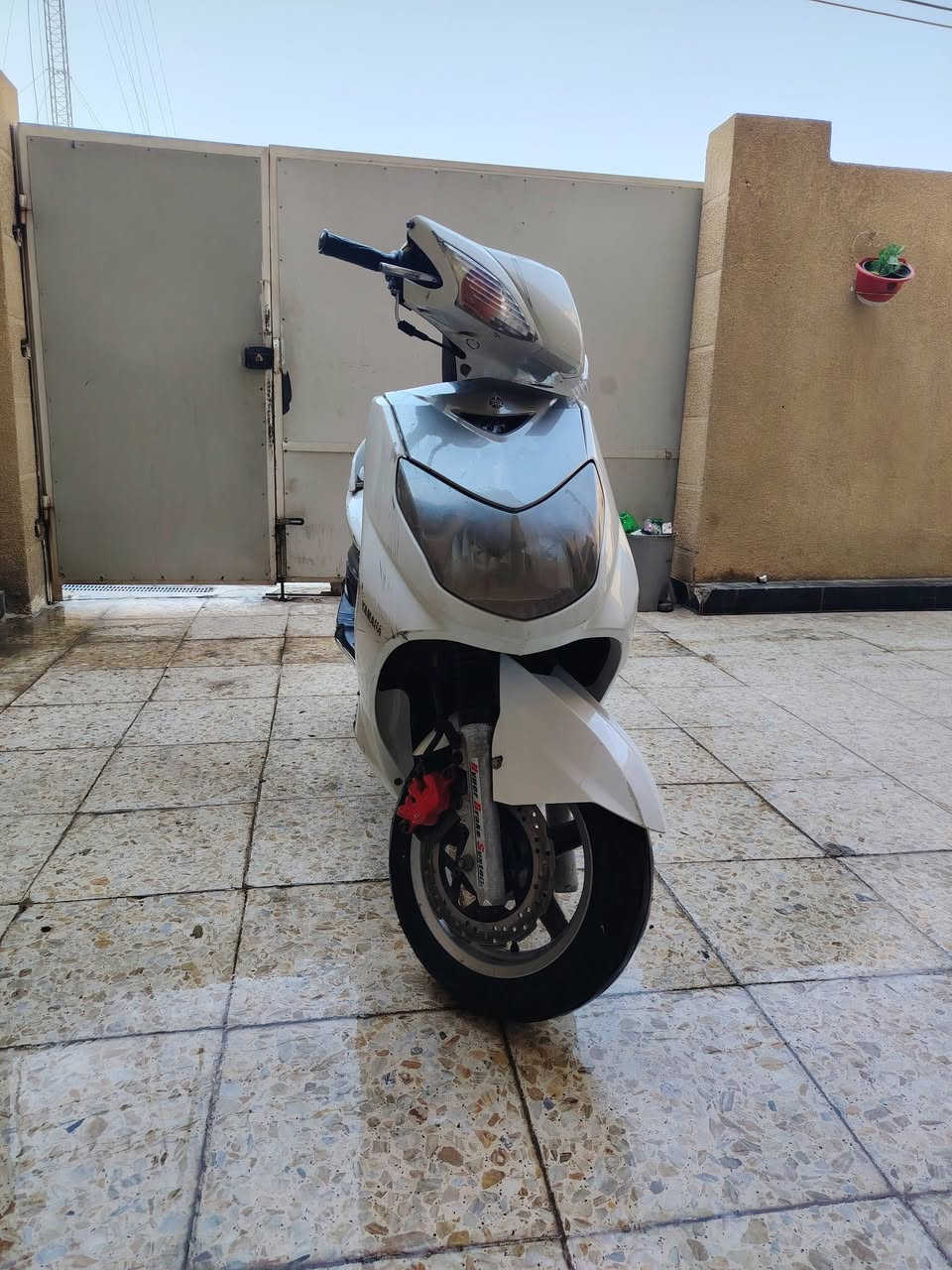 ه دراجه سكنز فحل نوزل دراجه حلوه كهربايات كامله سلف هندر اسعر 550 وذا مراوس ميخالف الحريحي سلام ***********
