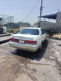 راس الثور للبيع مراوس هم عادي بنكو 07762605443