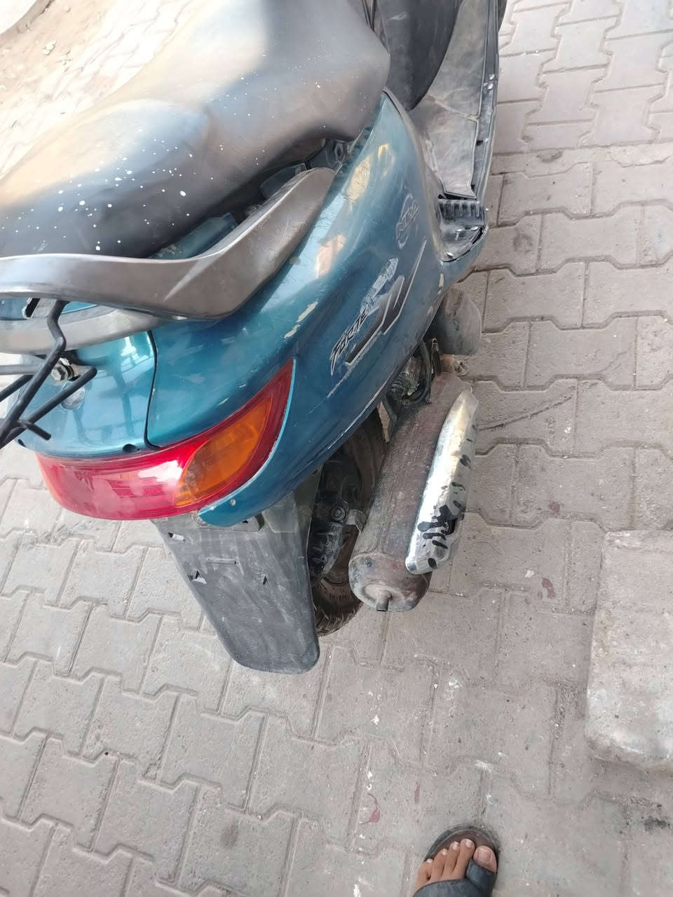 درجه الفرشه بيه خيط ابيض قليل كلش كلش. و درجه ما مجفته تره جديد الله شاهد منكان النجف قضاء المشخاب السعره خاص ***********
