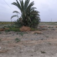 دونم زراعي • يصلح سكن • ماء وكهرباء
