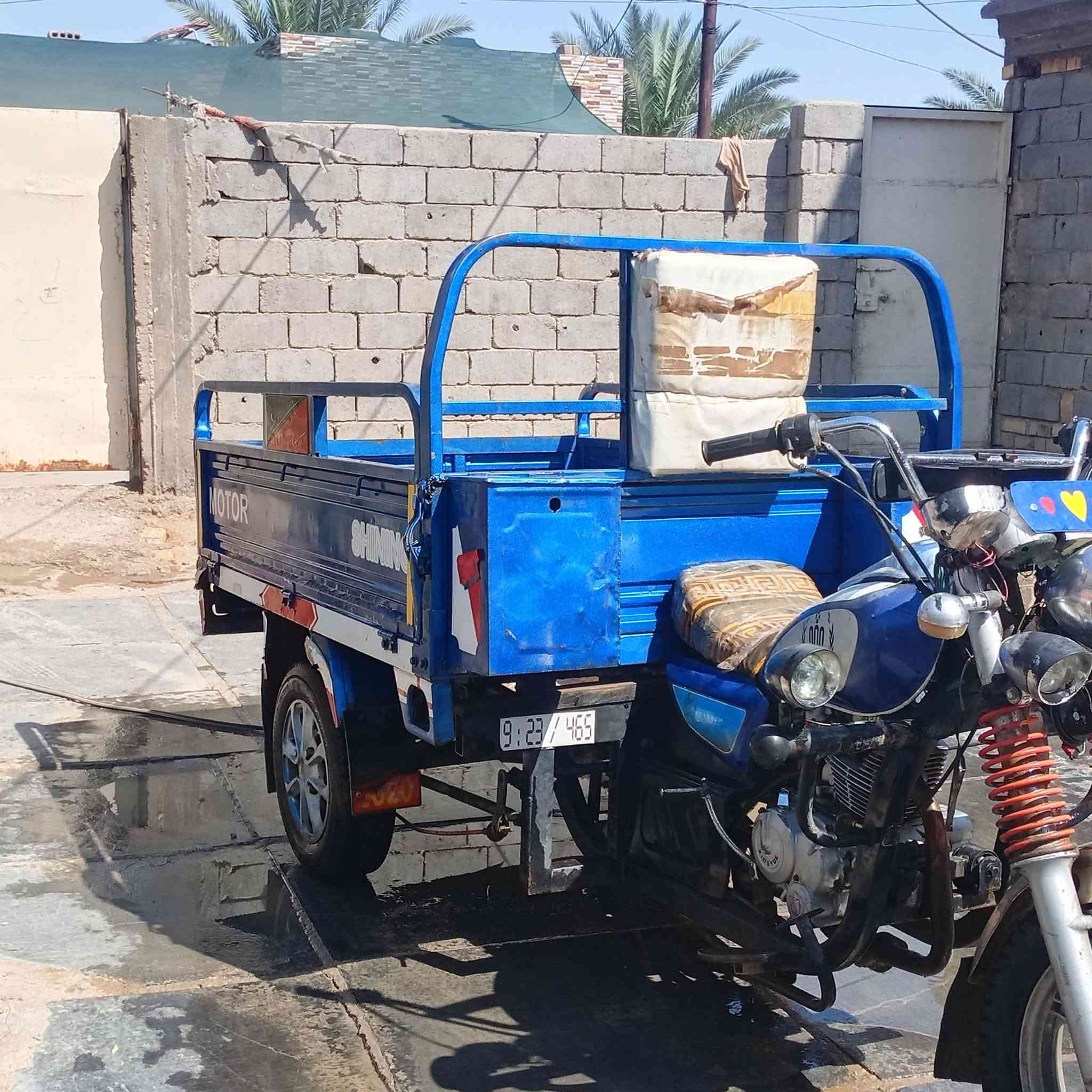 ***********
توته 2019. وراق صوليه. بابل ناحيه الطليعه
السعر 1500
