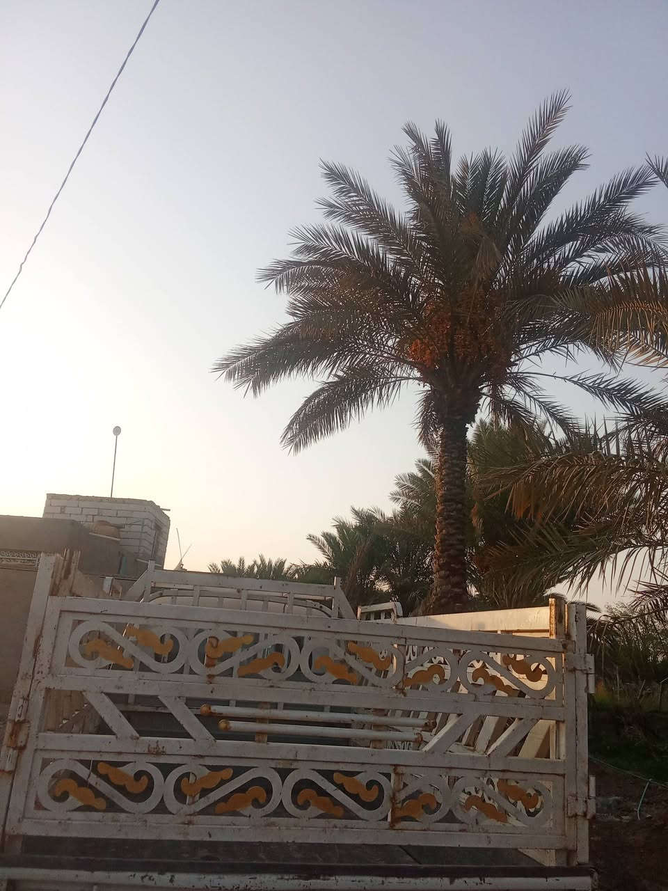 سلام عليكم اخوان محجر تسكام نضيف للبيع ***********مكان ديوانيه قضاء سومر

