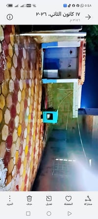 طابو زراعي • ٣٠٠م • كوفه علوه الفحل