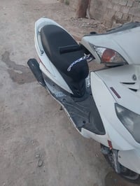 سكنس فحل • نوزل • خطين