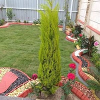 بابل الحله • صور اعمال • ديكور