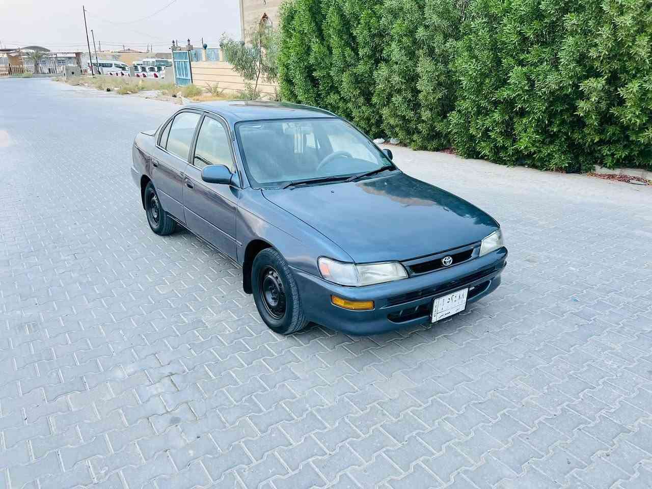 كورلا • ٩٢ • رقم بابل