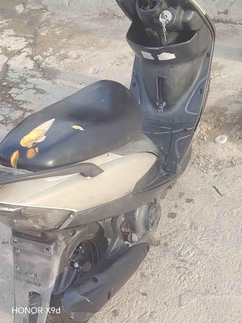 ماكس عدلة • بغداد