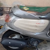 منغولي • فول • نضافه
