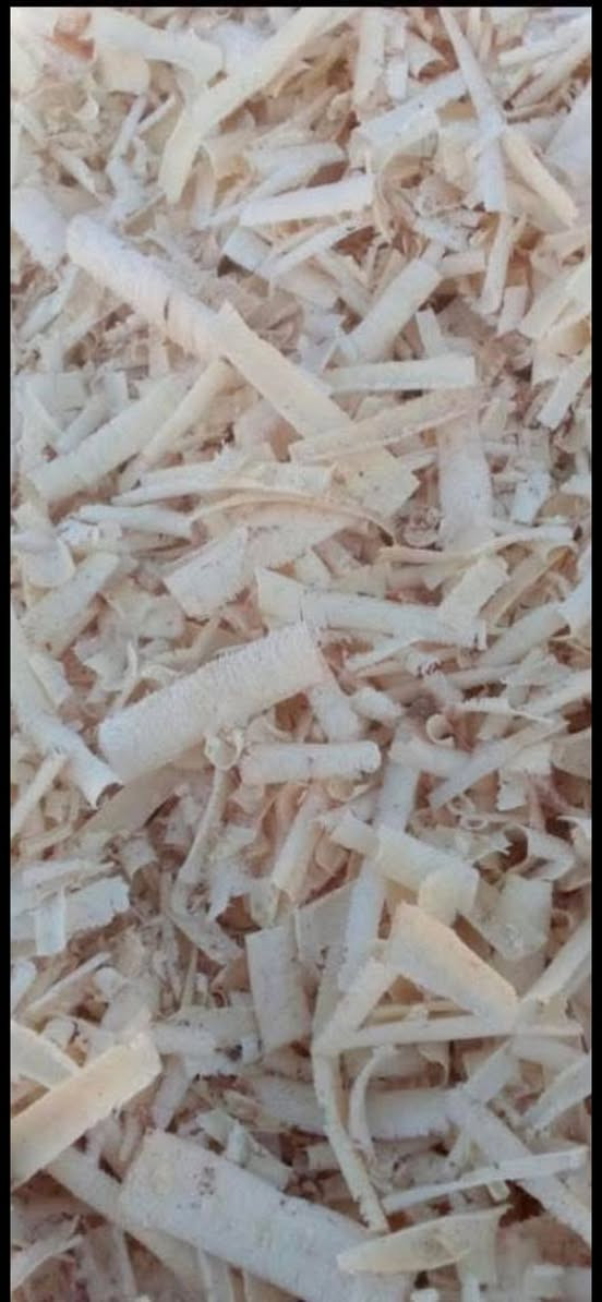 توجد نشاره خشب 🪵 اثل درجه اولى ويوجد توصيل 🚚 الى جميع المحافظات ويوجد خصم الى اصحاب المكاتب للتواصل 
((***********)) يوجد واتساب ☎️
