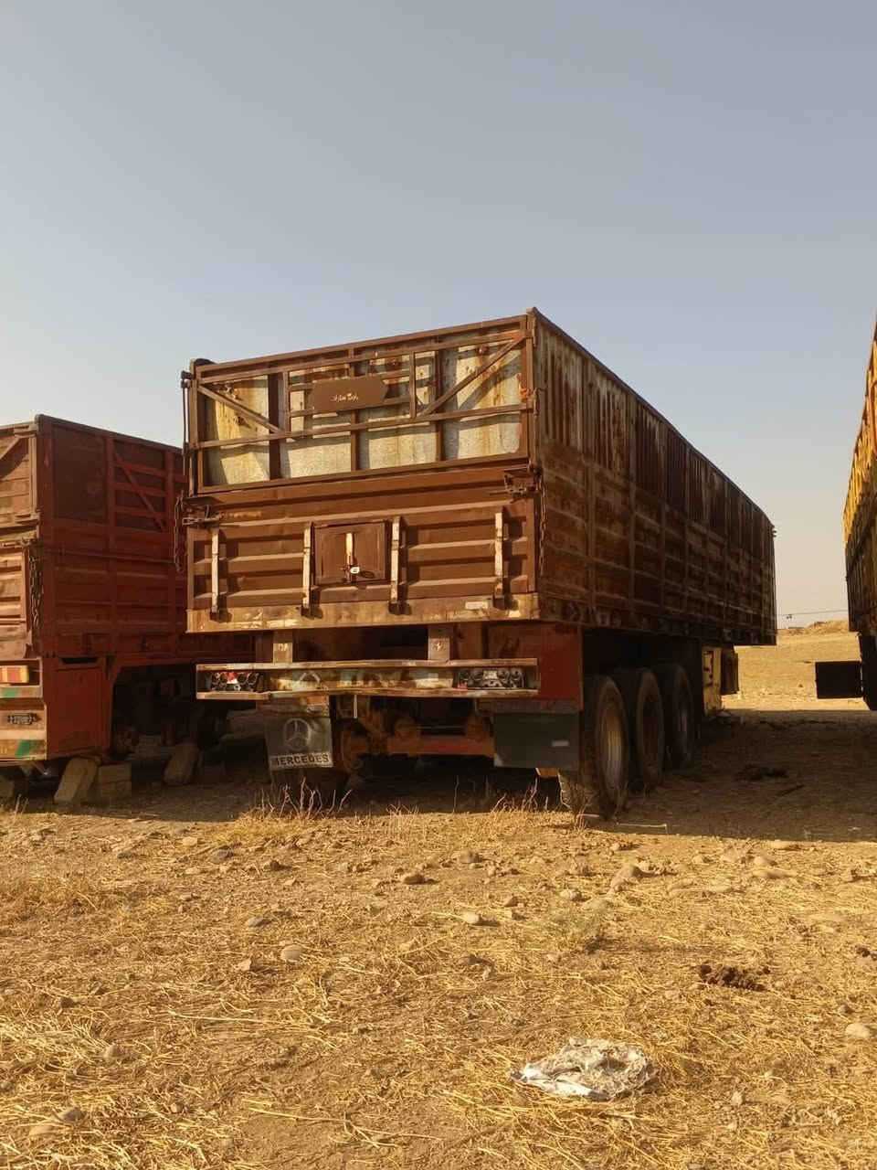 عرباين • حنطة