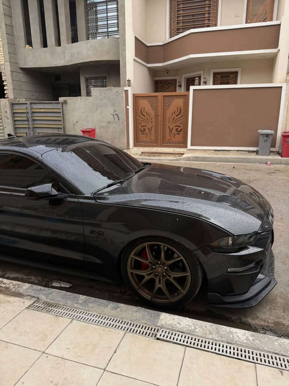 موستنك جي تي • ٢٠٢٣ • بدون صبغ