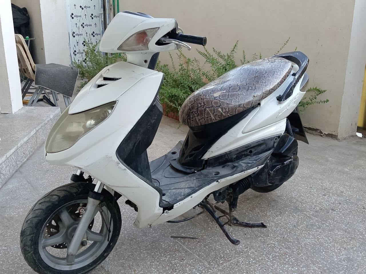 السلام عليكم
سكنس فحل ياباني (النفخ) للبيع سعرها 400 الف وبيه مجال بسيط
#ملاحظه مجفته صارلها يومين خلصت بانزين وطفت بعد ما أشتغلت وعفتها
مكاني بغداد الدوره البوعيثه
للأتصال ***********
#الجميع
