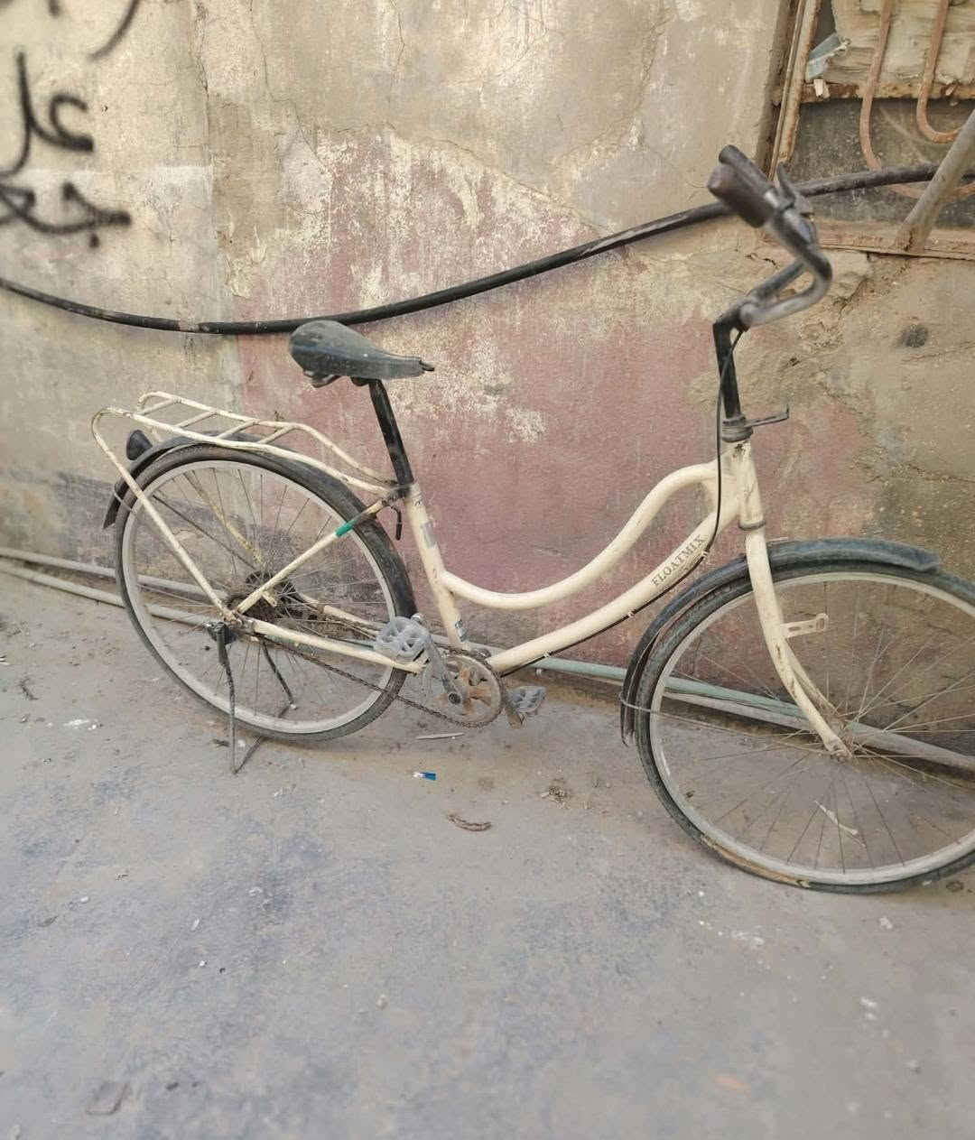 بسكليت • حجم ٢٦ • ياباني