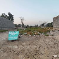 الدوانم • ٢٠٠م • على شارعين