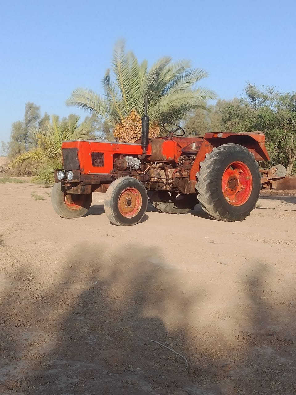 السلام عليكم مكينه عنتر البيع موديل 87كتاب شركه مكفوله كفالة عامه محرك كير كسل هودرليك مقدم كهربايات ستيرن مامفتوح مكينه جاهزه العمل وراهى معدلان  السعر 3وبيهى مجال رقم الهاتف  ***********
