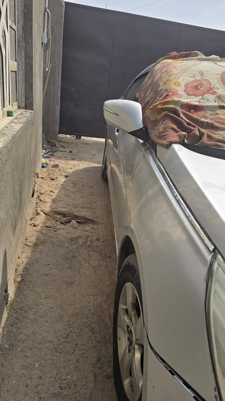 سوناته • ٢٠١٦ • رقم بصره