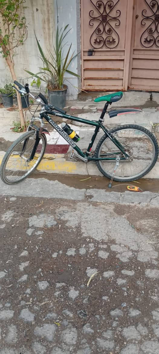 دراجة • واتساب فقط