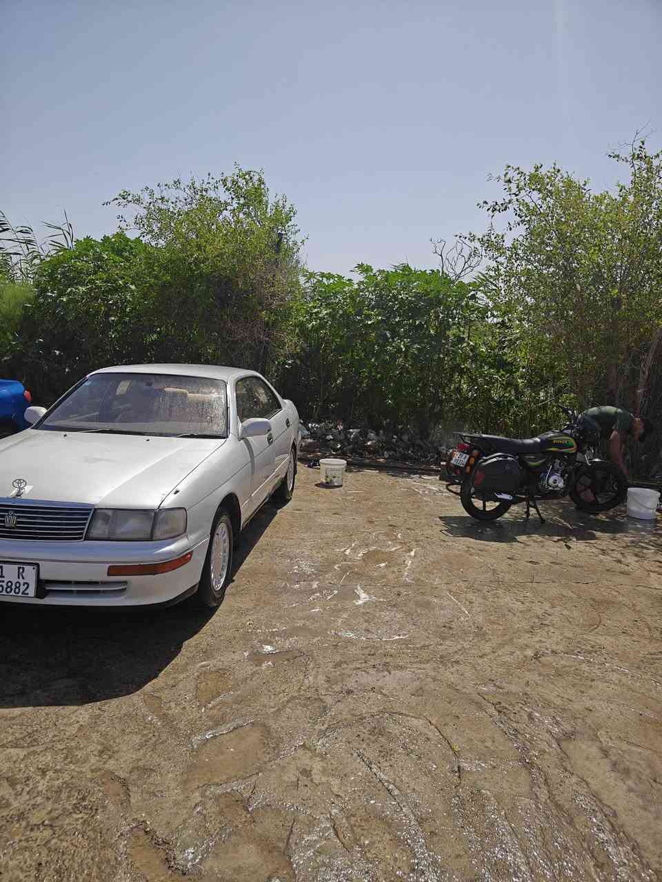 بطه • موديل ٩١ • بطارية جديدة