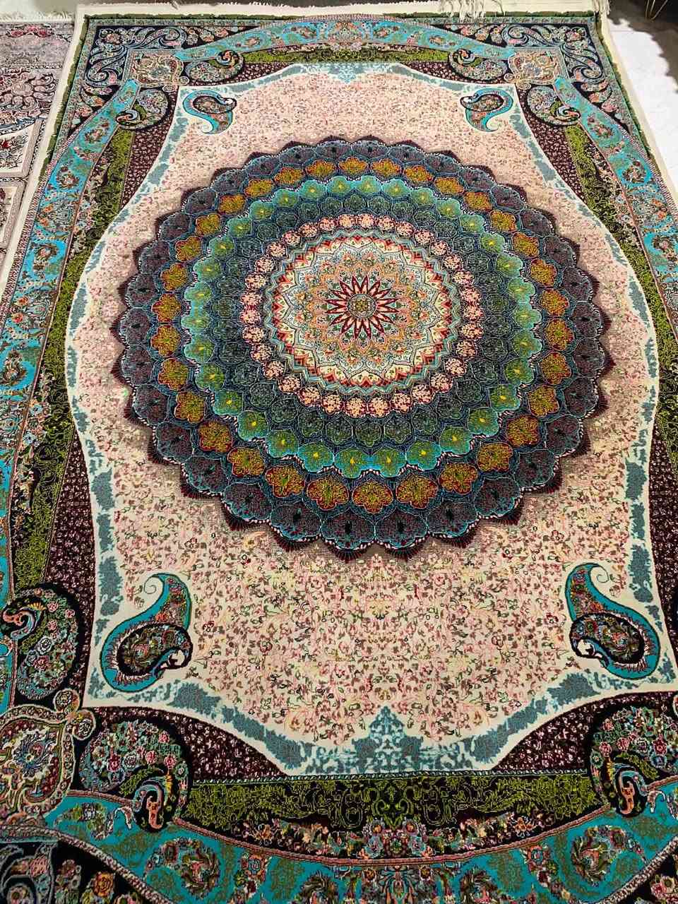 زوالي عدد اثنين كاشان 700  شانة كل وحدة قياسهه 2 في 3  للاستفسار اباتصال من على الرقم  *********** العنوان  سليمانية رابرين شارع الكوميتة خلف ماركت هميشة بازار
