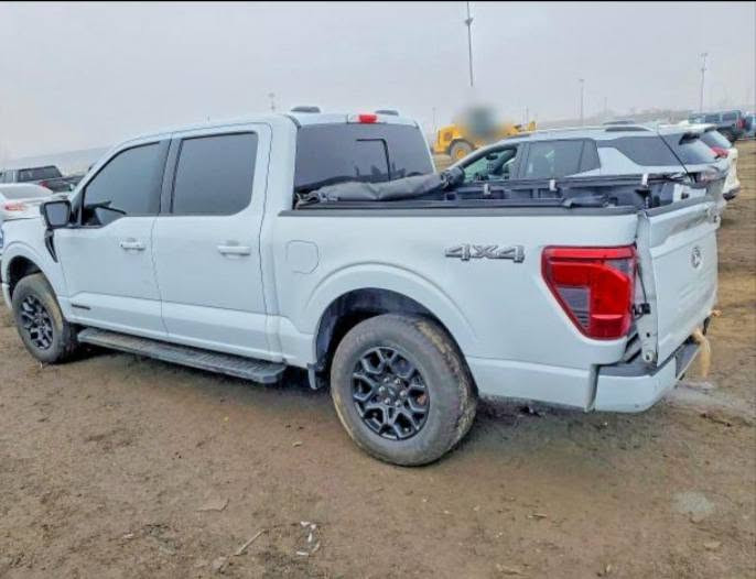 السلام عليكم فورد F-150 2025 هايبرد أبيع على حادثها موجوده في بغداد تترقم أربيل باب خلفي موجود وياها ماشيه 16 الف السعر 298$ و بيها مجال ***********
