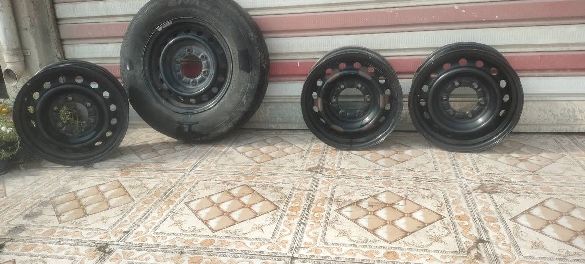تخم ويل • حاوية ياباني • حجم ١٥