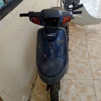 بطه • شغاله • واير بلك