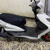 سكنس فحل • نضيفه • بلاديه