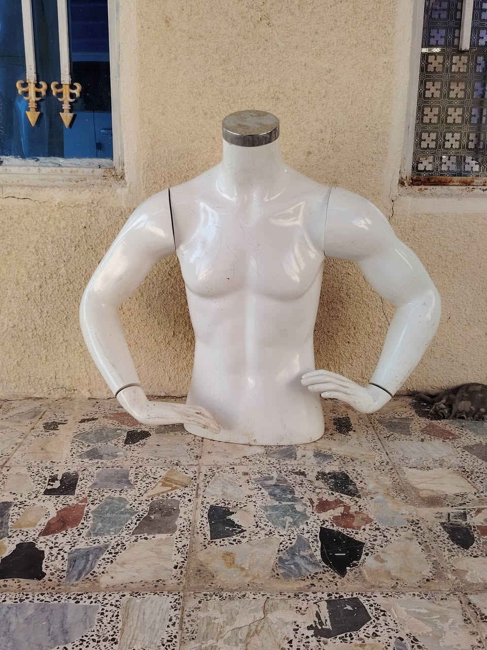 مليكانات للبيع
مليكان كامل 60
صدر 45
رجل 45
***********
