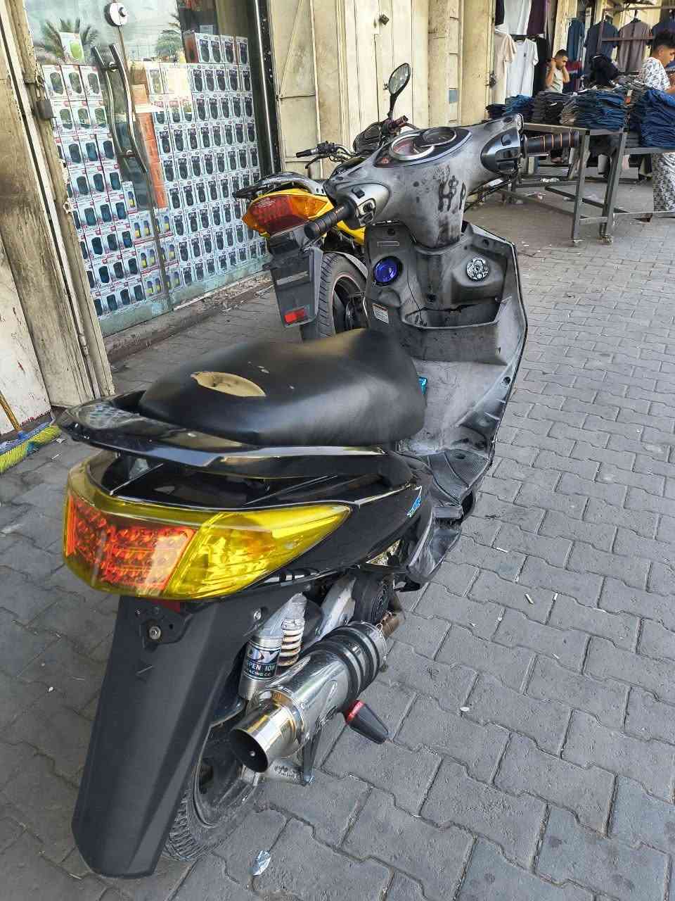 سكنس فحل • نوزل • مزودة