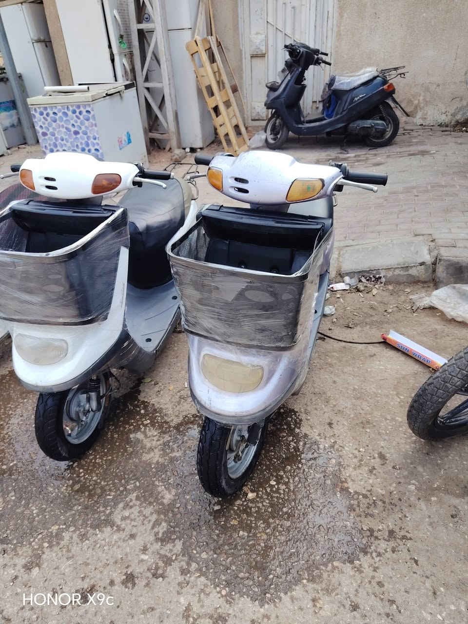 بطه • منغولي • موديل 99