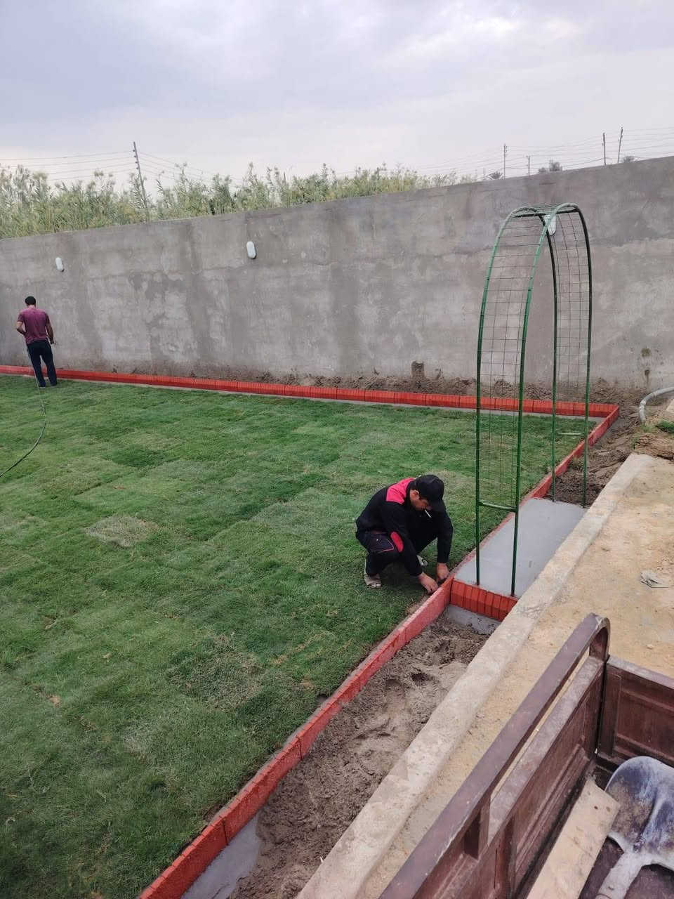 تنسيق حدائق • بستنة • حديقة تخبل