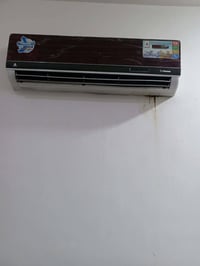 سبلت • طنين • جديد