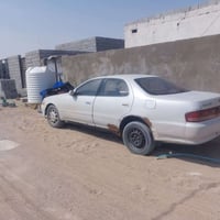 كرستا نفخ رقم بصره تحويل متها متريد مكفول من كصه ونقل وضربه القويه عوز...