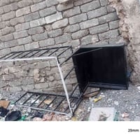 محجل • ستوت • نضيف