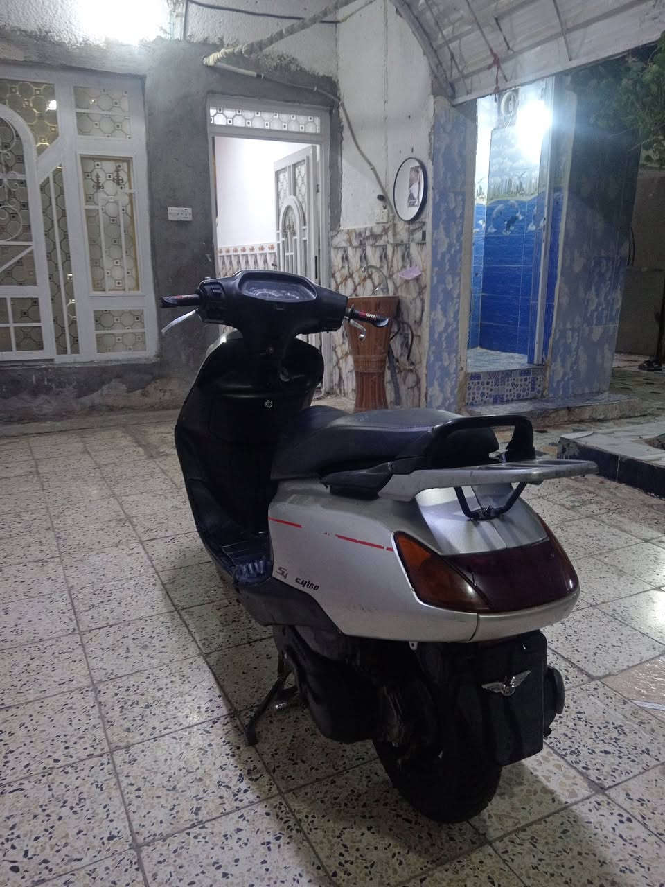 سبيسي • ياباني • كوت زوريجات