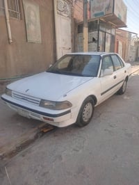 كورونا • ١٩٨٩ • عضم