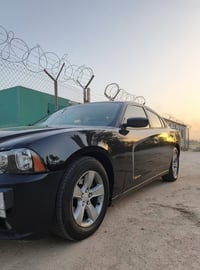 كفالة شاصي • ٢٠١٢ • بصرة