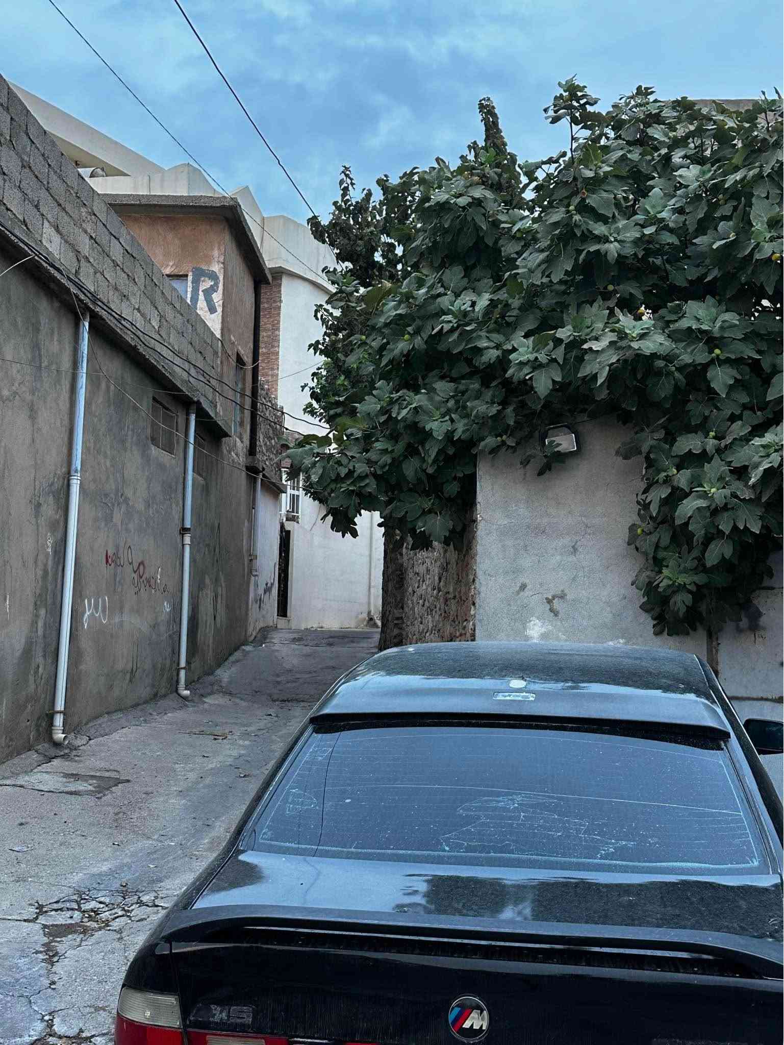 سەرەتا بە ناوی خوای گەورە bmw ٥٢٥ دیجیتال ماشااللەء لە هەیکەلی زۆر زۆر جوان ماوەتەوە لایت ئەلقەیە ئارم سلیمانیە ئارمەکەی بە هەدیەوە موسو براوەی بە شەرتە هەیکیەلی قنجو قۆپی نیە شوختو شتی نیە زۆر زۆر جوانە چوار تایەو ویلی لۆکی لەسەرە چات بنیرە لە خزمەتام کامل زانیاریم نوسیوە كويسينجاك, أربيل
